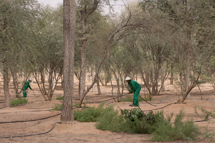 Al Ain forest groundwater conservation advisory